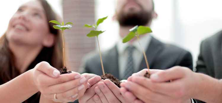 close up.young shoots in the hands of young businessmen